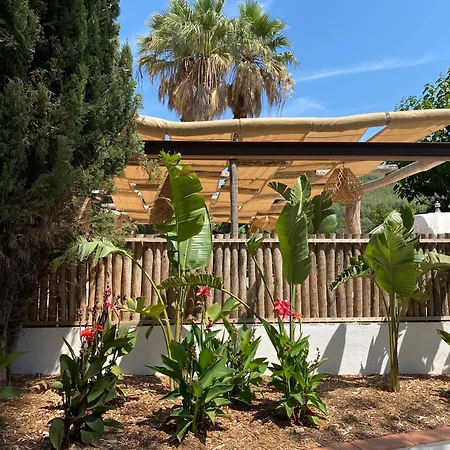 Hotel Des Pins *