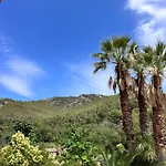 Hotel Des Pins Bandol